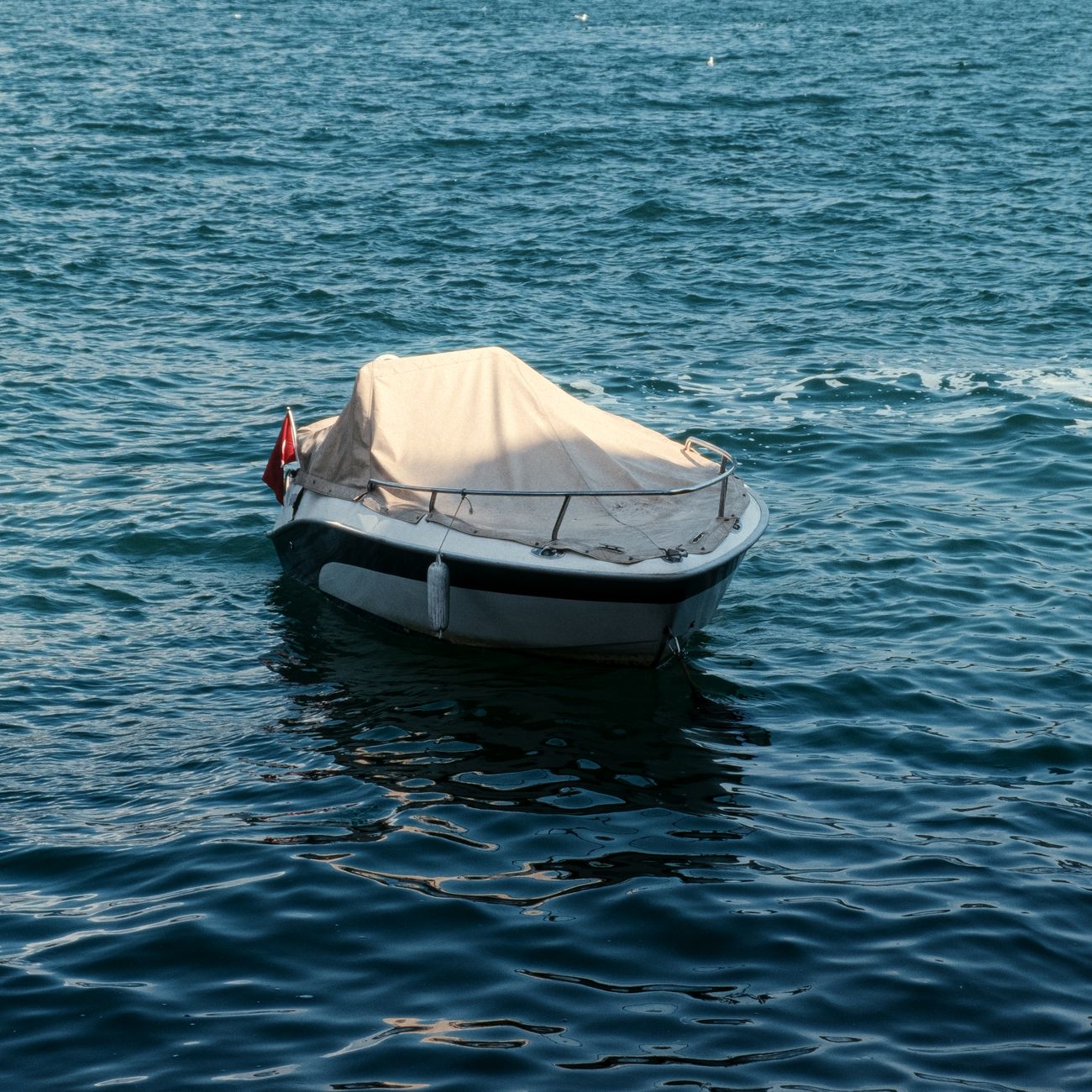 Smaller, covered boat on calm water